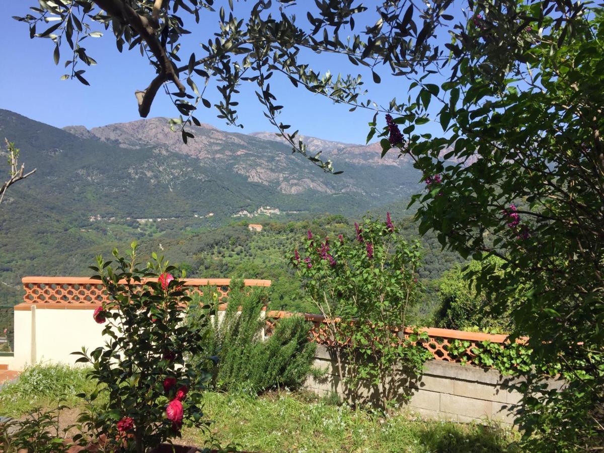 Casa Nepita Sur Vue Grandiose Apartment Santa-Lucia-di-Tallano Exterior photo